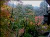 談山神社 その9